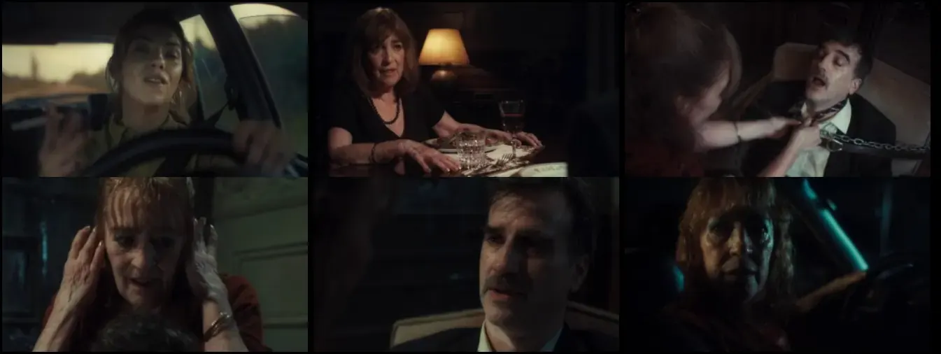 Crazy Old Lady (2025) WEB-DL [Hindi (DD2.0) & Spanish] 1080p 720p & 480p Dual Audio [x264/10Bit-HEVC] | Full Movie screenshots