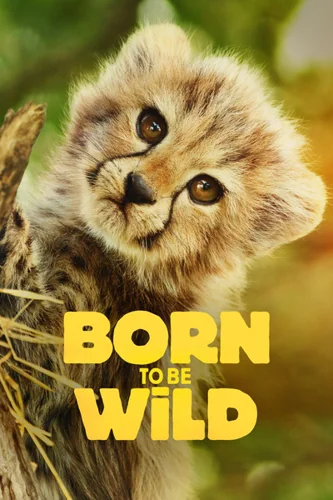 Download Download Born to be Wild (Season 1) English WEB Series 720p | 1080p WEB-DL MSubs [S01E06 Added] Full Movie Free HD 1080p 720p 480p — December 19, 2025 (United States)