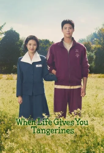 Download When Life Gives You Tangerines (Season 1) Multi Audio [Hindi-English-Korean] WEB Series 480p | 720p | 1080p WEB-DL MSubs [S01E16 Added]