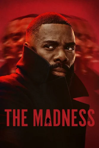 Download The Madness (Season 1) Dual Audio [Hindi-English] WEB Series 480p | 720p | 1080p WEB-DL MSubs