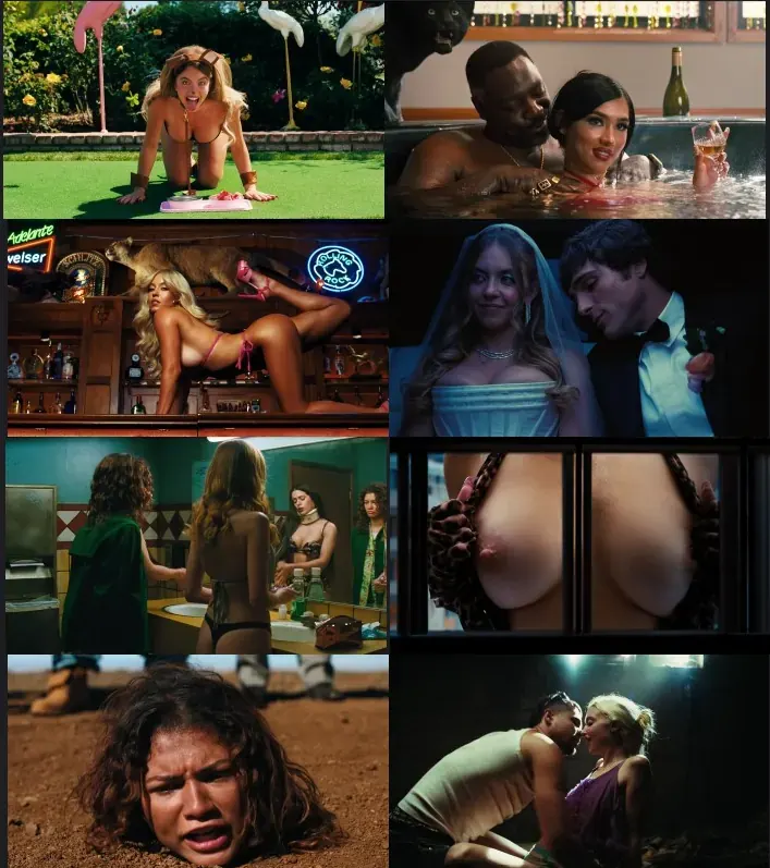 Download Euphoria S03 (2019–2026) [In English + ESubs] WEbRip 480p 720p 1080p [HD] [Series] , Watch Euphoria S03 Full Movie Online screenshots