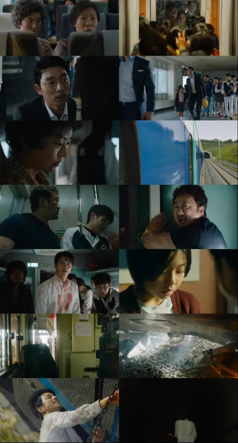 Download Train to Busan 2016 Dual Audio Hindi & English 1080p 720p 480p HD screenshots
