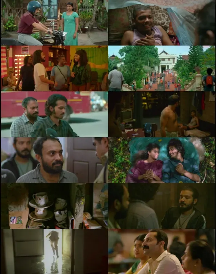 Kumbalangi Nights (2019) WEB-DL [Malayalam DD2.0] 1080p 720p & 480p [x264/10Bit-HEVC] | Full Movie screenshots